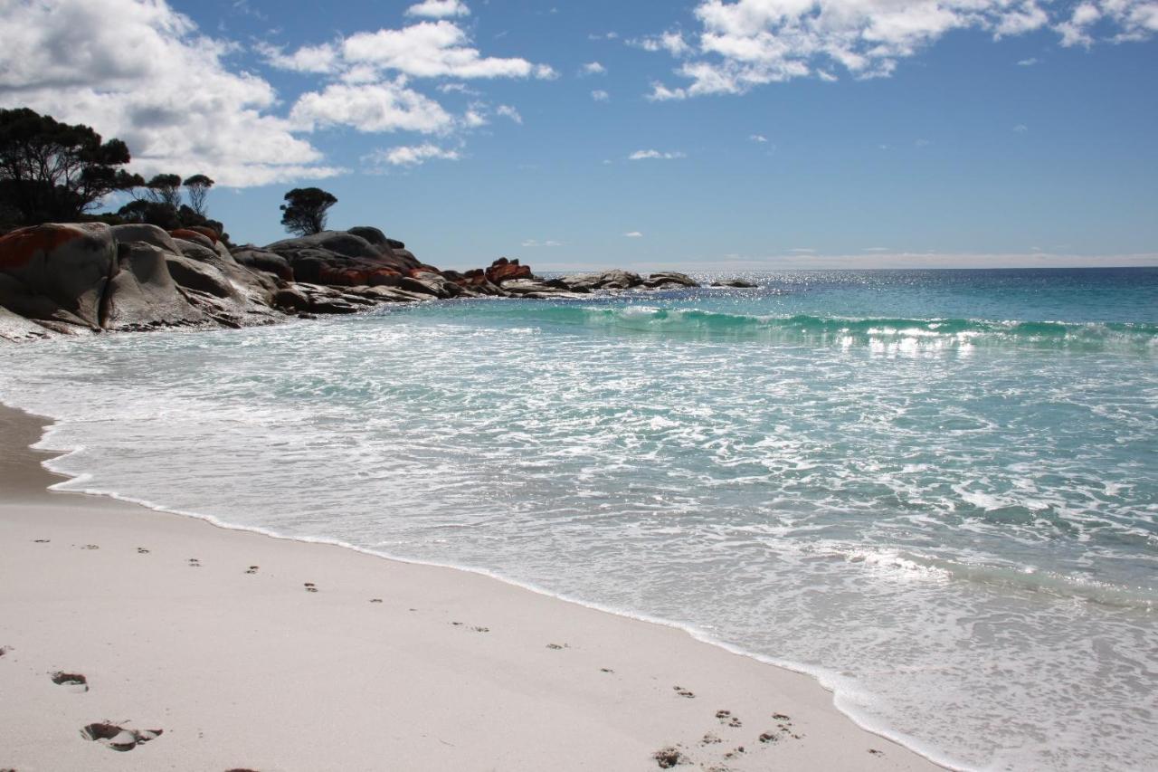 Binalong Beach Cottage Beachfront At Bay Of Fires Next To Restaurant Binalong Bay Exteriör bild